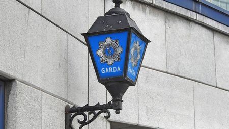 Gardaí investigating alleged assaults in the county