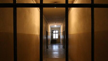 A carer and student jailed for violent burglaries on OAPs and theft of €34k