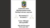 Celebration dinner to honour county hurling team’s famous 1984 win