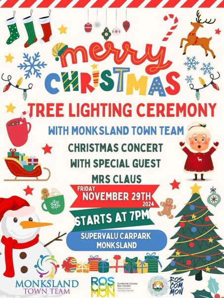 Monksland tree lighting ceremony