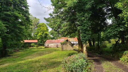 Buy a cottage for Christmas