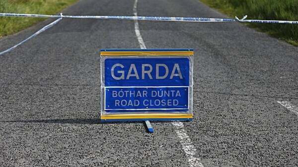 Pedestrian dies following collision in Wexford