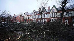 Storm Darragh: It could be the end of the week before power restored to all - ESB Storm Darragh: It could be the end of the week before power restored to all - ESB