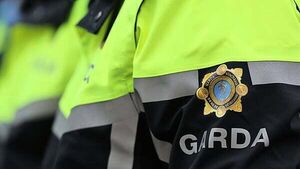 Number of gardaí set to reach 14,220 as nearly 170 new officers graduate Number of gardaí set to reach 14,220 as nearly 170 new officers graduate