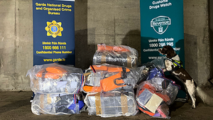 Shipment of 'pure cocaine' to Limerick has street value of €105 million, court told