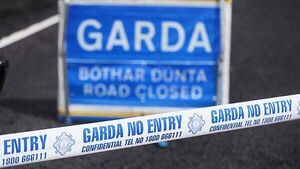 Eight dead and 20 seriously injured on roads over Christmas, gardaí say