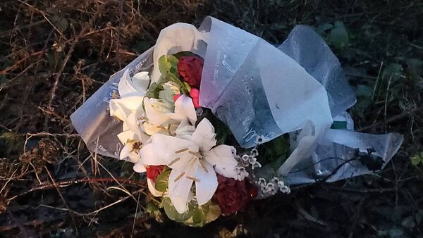 Gardaí make public appeal for information on movements of silver car in County Roscommon