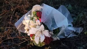 Gardaí make public appeal for information on movements of silver car in County Roscommon Gardaí make public appeal for information on movements of silver car in County Roscommon