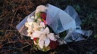 Gardaí make public appeal for information on movements of silver car in County Roscommon