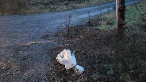 Murder investigation launched following discovery of woman's body in County Roscommon