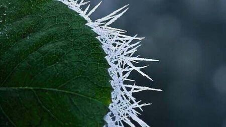 Burst pipes during the cold snap could lead to a €10,000 bill, insurers warn