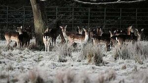 Met Éireann warn of 'multi-hazard weather event' over the weekend