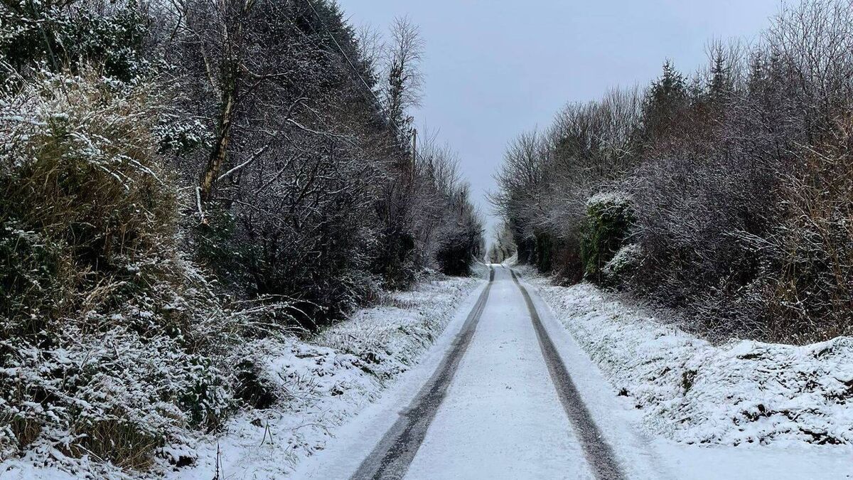 Severe weather alert issued for County Roscommon as freezing conditions persist