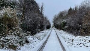 Severe weather alert issued for County Roscommon as freezing conditions persist