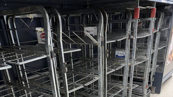 Sales of bread, milk, butter and eggs surge during cold snap