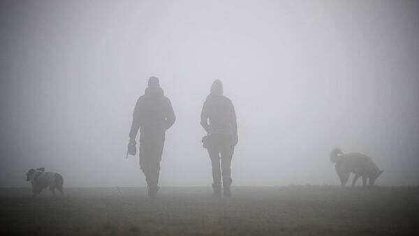 Status yellow fog warning issued for entire country