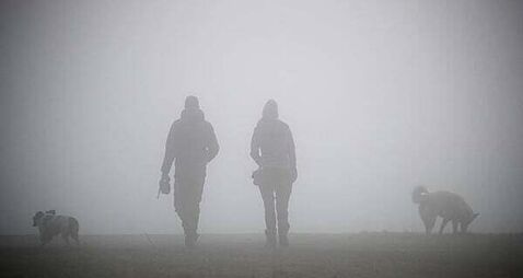 Status yellow fog warning issued for entire country