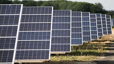 Badger concerns stall €141 million Kildare solar farm