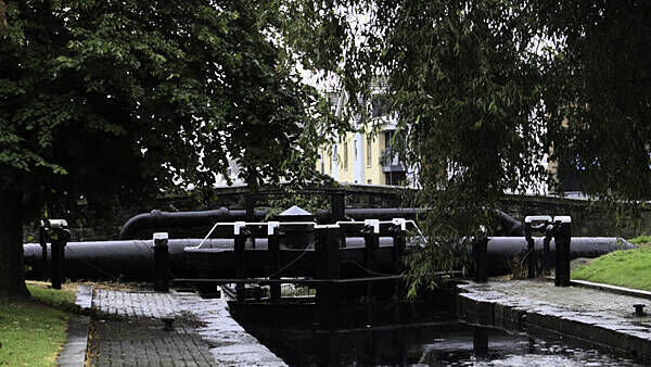 Council to clean Dublin 'cherry tomato bridge' as landmark goes viral