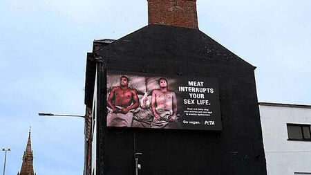 Belfast billboard warns of impact of meat and dairy on sex lives