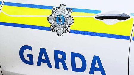 Four Dublin boys in children's court after 'ramming' Garda cars in Kildare