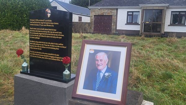 MEP writes to Garda Commissioner calling for new probe into Liam Farrell’s death