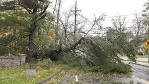 Severe wind warning issued for County Roscommon