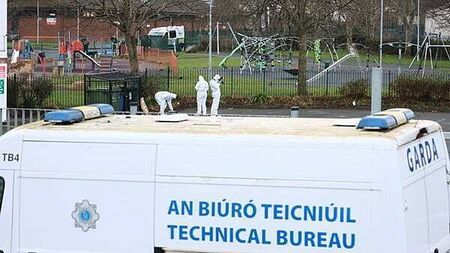 Murder investigation launched into death of man in Bray
