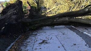 Storm Éowyn: Maximum gusts of 130km/h recorded in Co Cork overnight Storm Éowyn: Maximum gusts of 130km/h recorded in Co Cork overnight