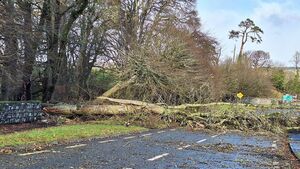 Roads remain blocked and thousands without power around County Roscommon as Storm Éowyn leaves its mark