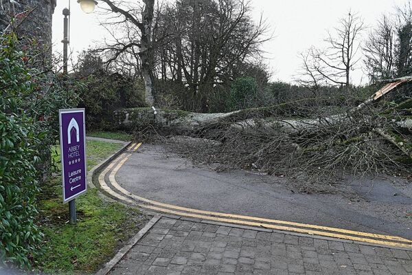 The main entrance to the Abbey Hotel in Roscommon Town blocked by a fallen tree. Picture: Gerard O'Loughlin