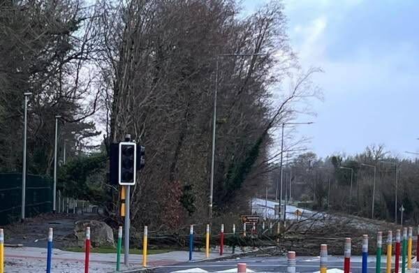 A tree blocks the old N6 at Summerhill beside Coláiste Chiaráin.