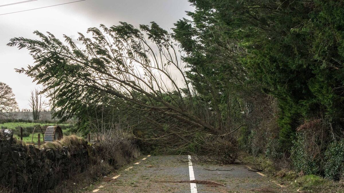 Snowfall and local rail closures adding to challenges in aftermath of Storm Éowyn