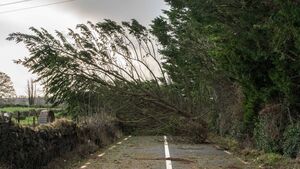 Snowfall and local rail closures adding to challenges in aftermath of Storm Éowyn