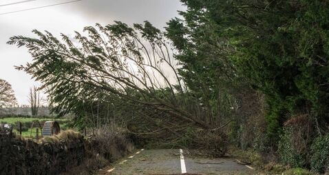 Storm Éowyn in pictures: the aftermath of one of the most severe storms to impact locally