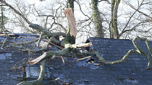 Warning over bogus traders following storm damage