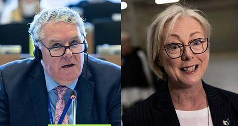 Two Irish MEPs appointed as deputies of EU committee on housing crisis