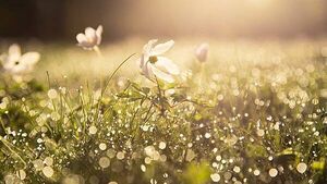 Poll: Does spring start in February or March? Poll: Does spring start in February or March?