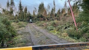 Still cursing the darkness 12 days on