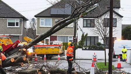 Wicklow man on trial for violent assault on neighbour in dispute over firewood cut by ESB