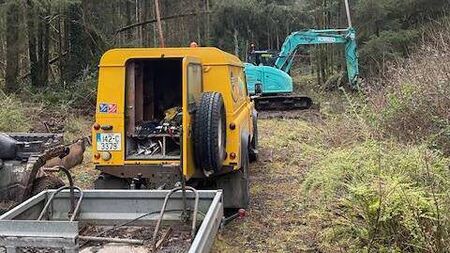 Dozens of County Roscommon homes remain without power heading into 18th day