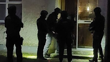 Four arrested in criminal gang probe involving Roscommon search