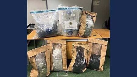 Gardaí seize cannabis worth over €500,000 following search in Cavan