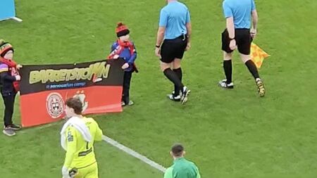 Roscommon brothers carry flags for major soccer match at Aviva Stadium