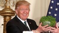 Herald Opinion: The lines between reality and fiction are getting a bit blurry