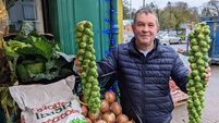 Council Cathaoirleach calls time on his Castlerea business after 26 years