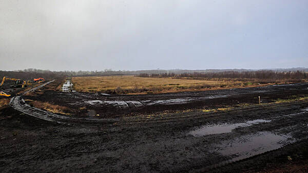 Ancient remains discovered in Derry bog ‘likely to belong to young woman’