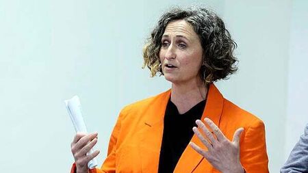 'Deeply disappointing' Occupied Territories Bill not passed, says Sinn Féin MEP