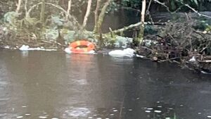 Interference with lifebuoys along the river in Castlerea Demesne branded ‘disgraceful’ Interference with lifebuoys along the river in Castlerea Demesne branded ‘disgraceful’