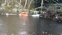 Interference with lifebuoys along the river in Castlerea Demesne branded ‘disgraceful’